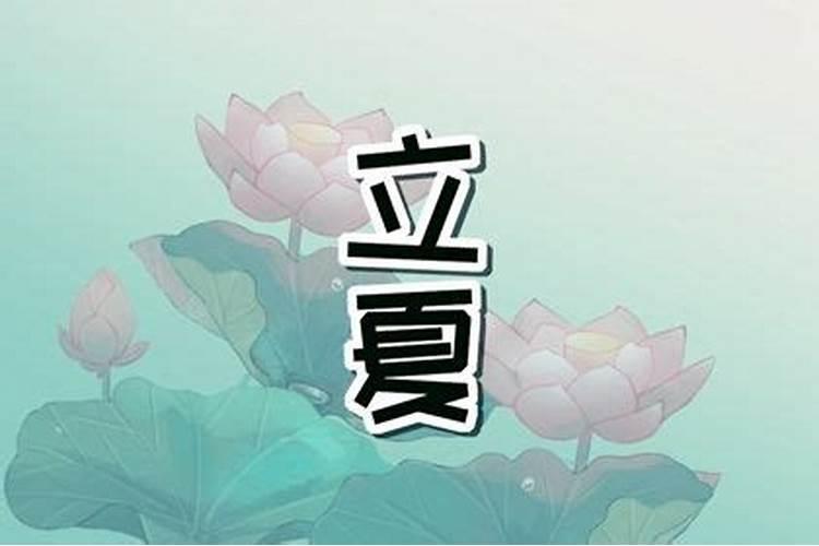 2004年属猴人2025年运势