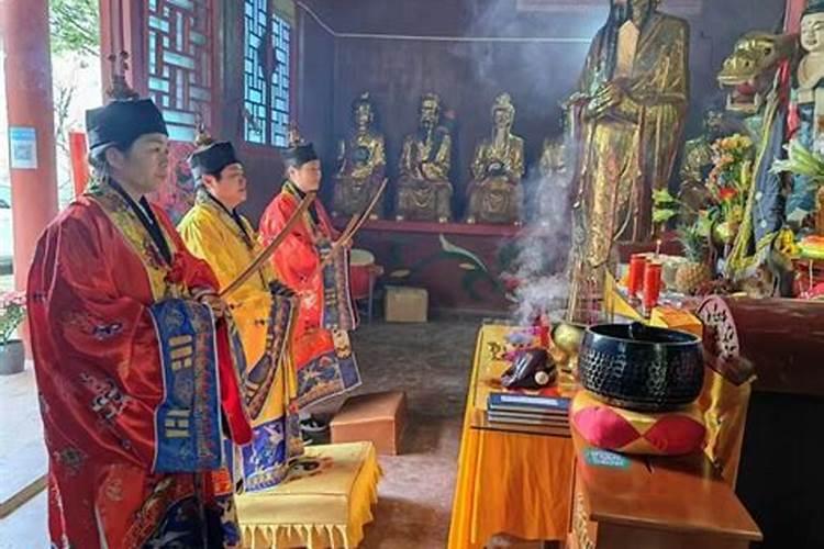 兔子和猴子属相合不合
