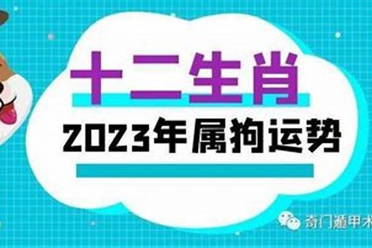 2024年属狗人每月运势及运程如何