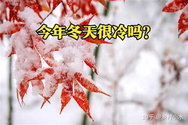 二十四节气顺序表