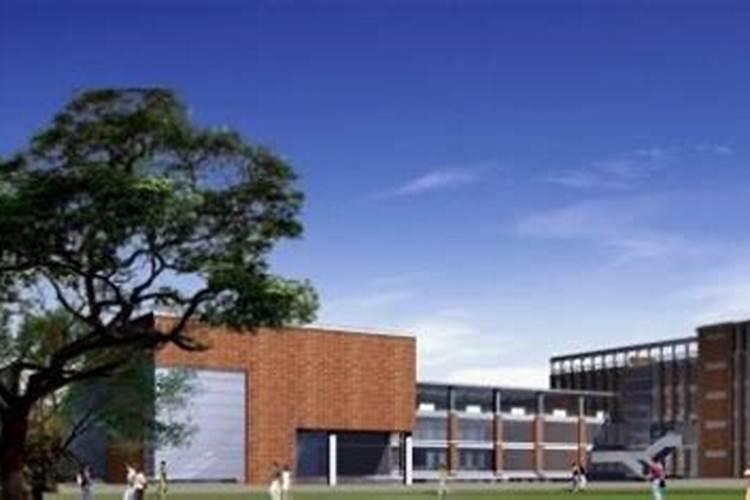 梦到小学学校