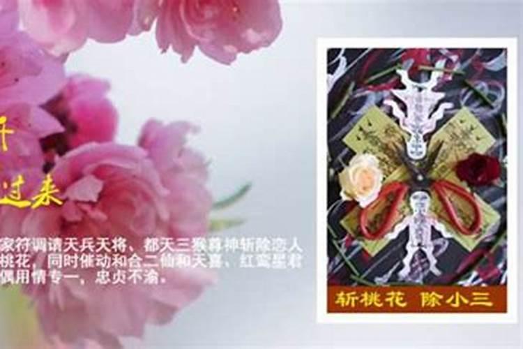贺兰山运动公园烧烤怎么收费