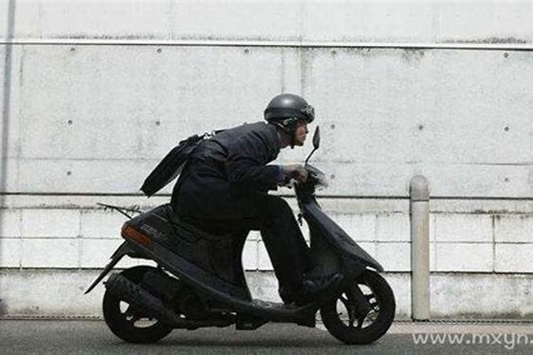 九月份的属牛的命运怎么样 九月生肖牛命好吗