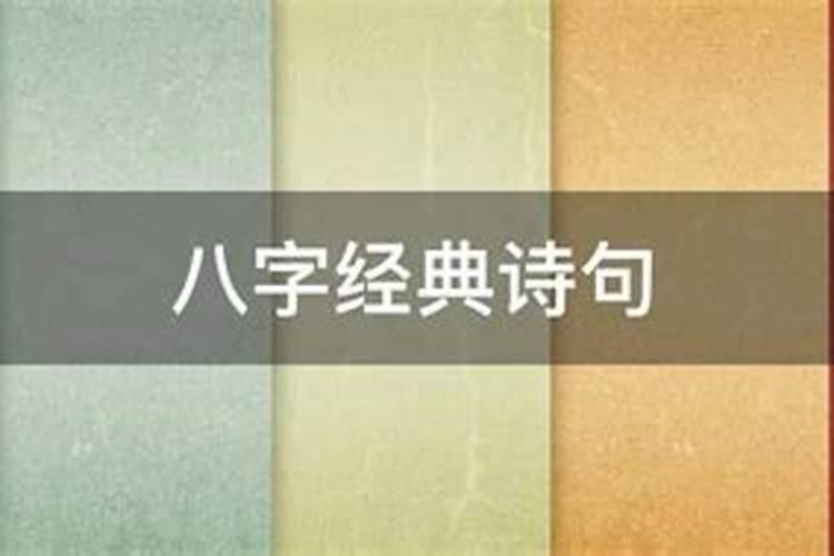 年月丙辛之合对癸水日主的影响