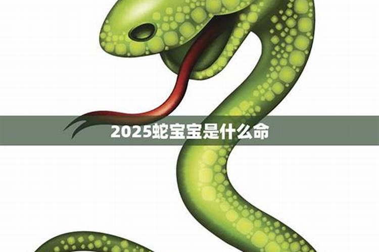 2025年冬月蛇宝宝和腊月蛇宝宝哪个运势更好