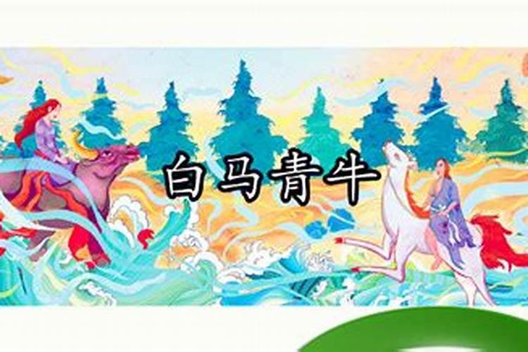 算命种属相为白马啥意思