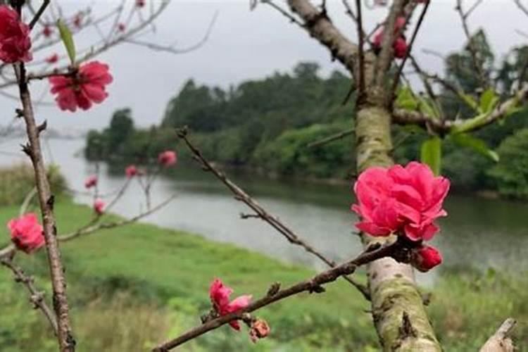 卧室中的桃花风水布局重点在哪里