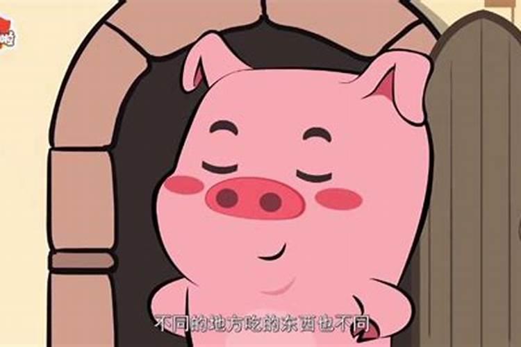 冬至的来历和风俗 冬至的美好寓意和象征