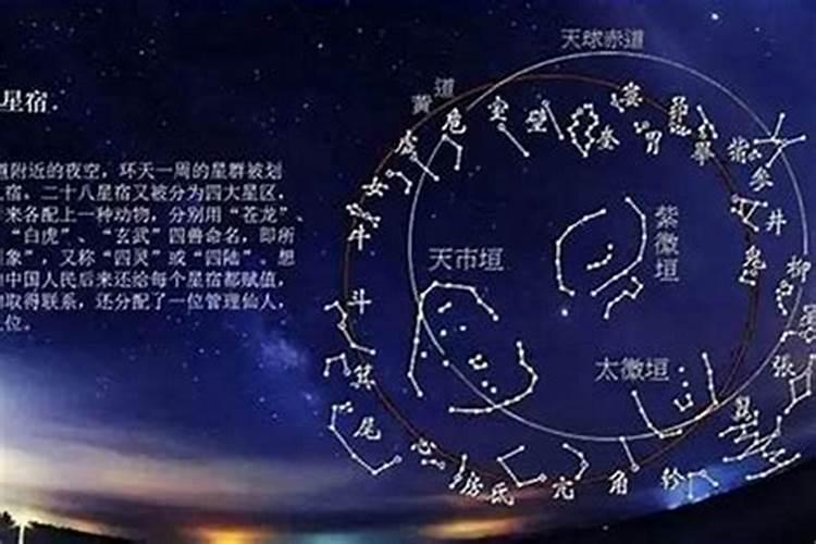 78年的马2025年运势