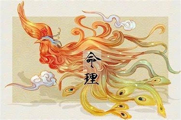 命中无子嗣的表现