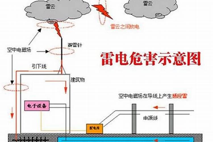 杭州立夏吃什么 “立夏狗”,野米饭,灰鸭蛋