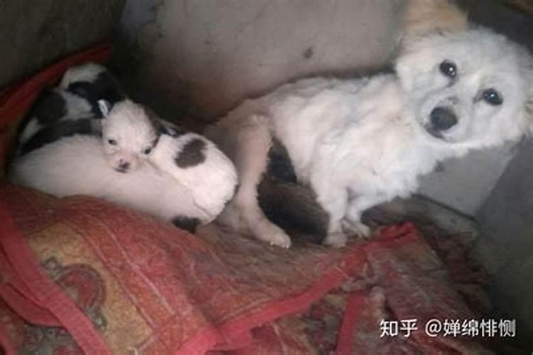 骂那些背后说人坏话的人