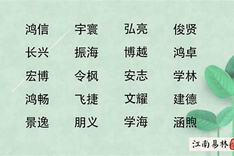 梦见蜜蜂追赶自己的预兆