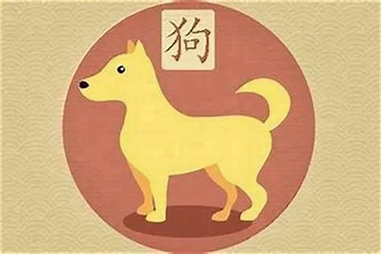 2025年82年狗女的全年运势如何