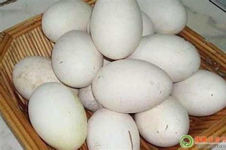 冬至为什么要吃鹅蛋？