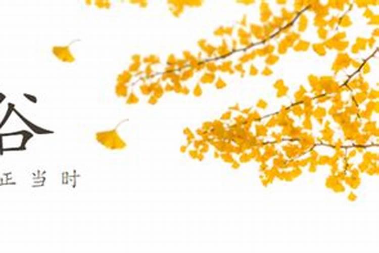 辟谷能治疗哪些疾病