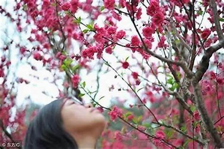 晚上做梦梦见女朋友还怎么给女朋友说暖心的话？
