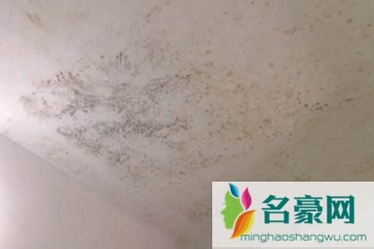 屋顶墙脚发霉运势,室内墙角发霉的原因是什么