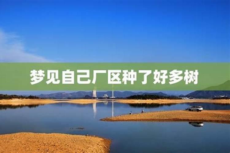 梦见大树被砍倒是什么意思