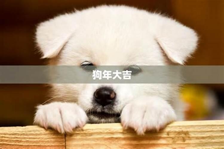 女人梦见丢钱又找回来预示什么意思