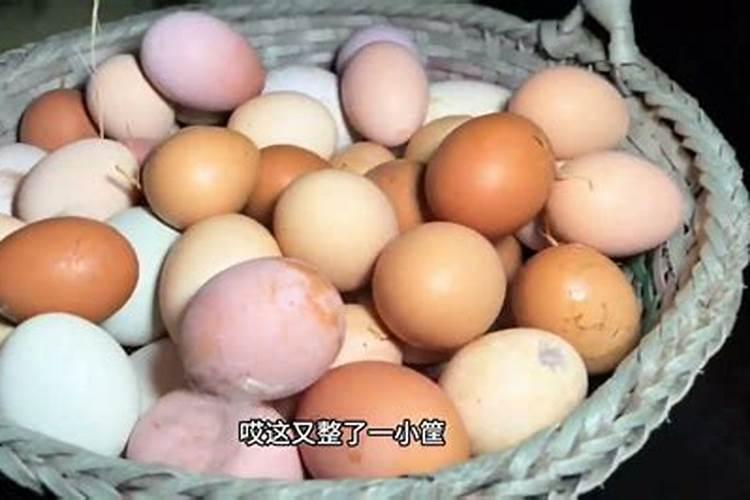 梦见自己捡鸡蛋的预兆