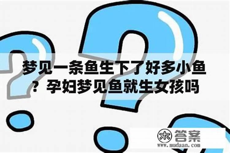 备孕的人梦到鱼