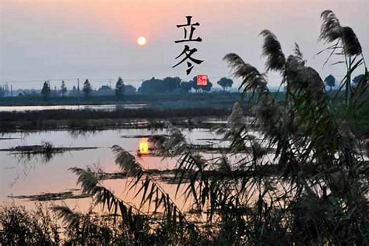 08年的二十四节气都在哪一天？