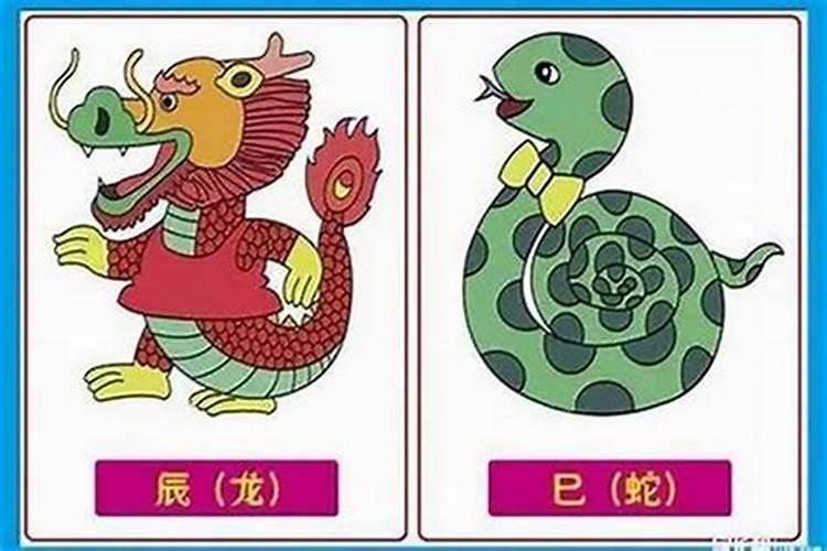 合姻缘:属虎的女人和属蛇男能结婚吗 有没有姻缘