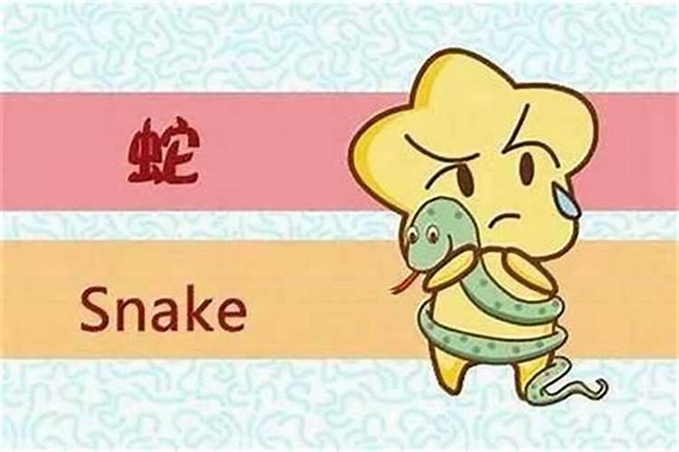 属相婚配 属虎女与属蛇男婚姻合适吗？