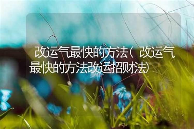 梦见自己和别人同骑一匹马
