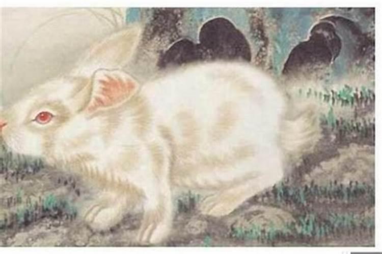 1987年冬月出生的兔运势 87年出生人的命运如何？