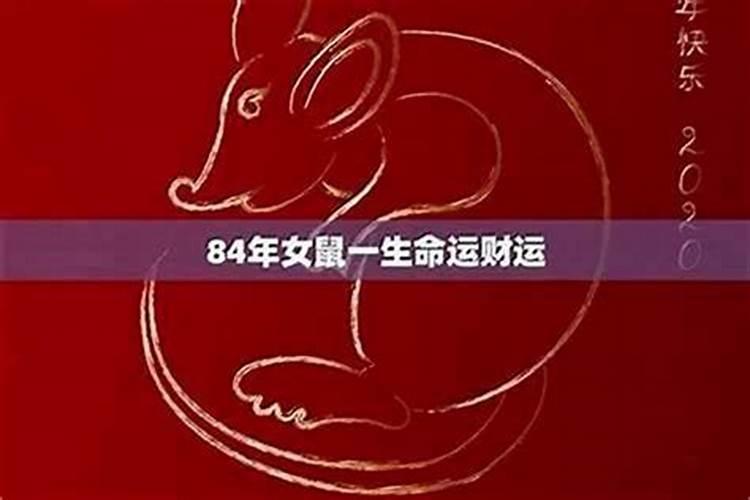 属鼠人2025年感情运势