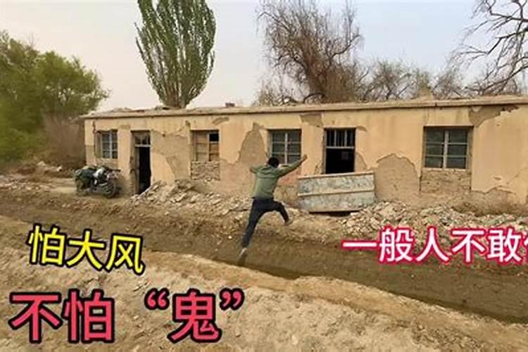 梦见狂风大作尘沙尘飞扬