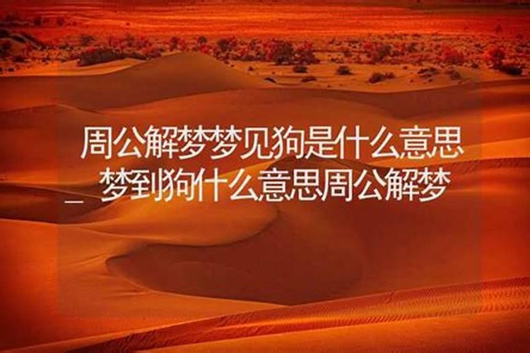 出马后总梦见狗