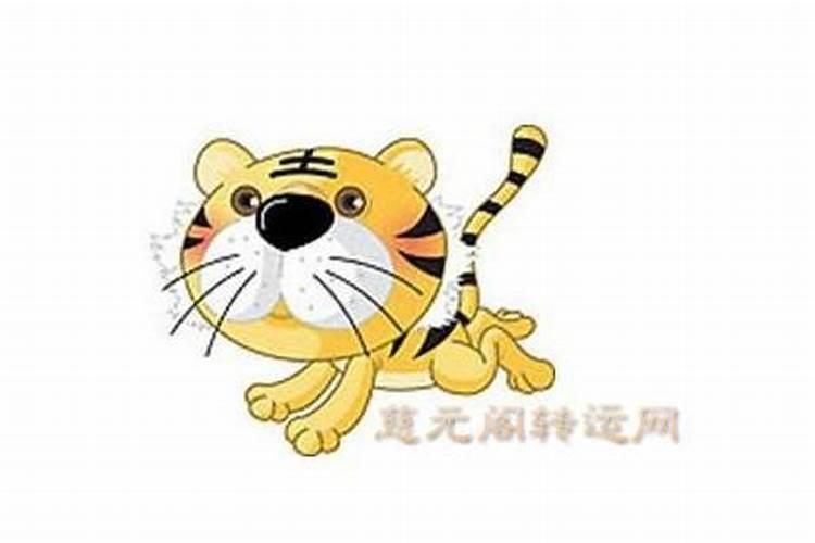 74年属虎运势最旺是哪一年 蛇年行大运？