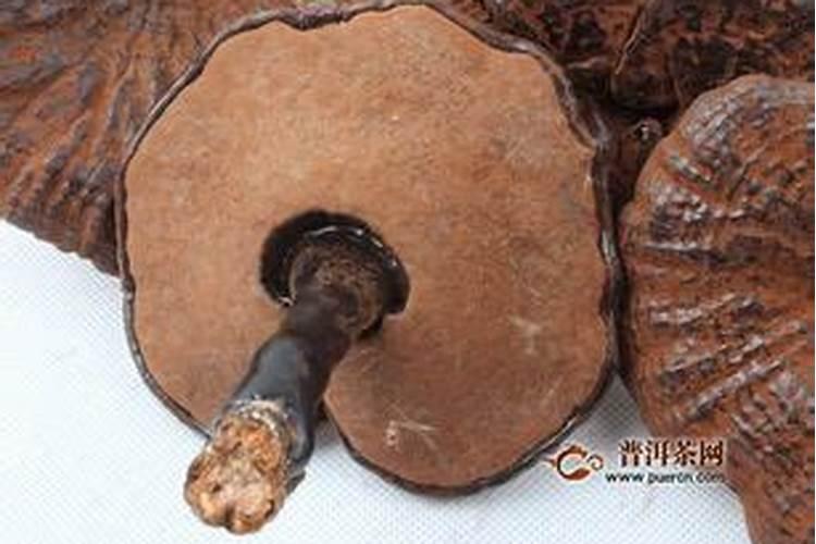 煤炭机电面试问什么