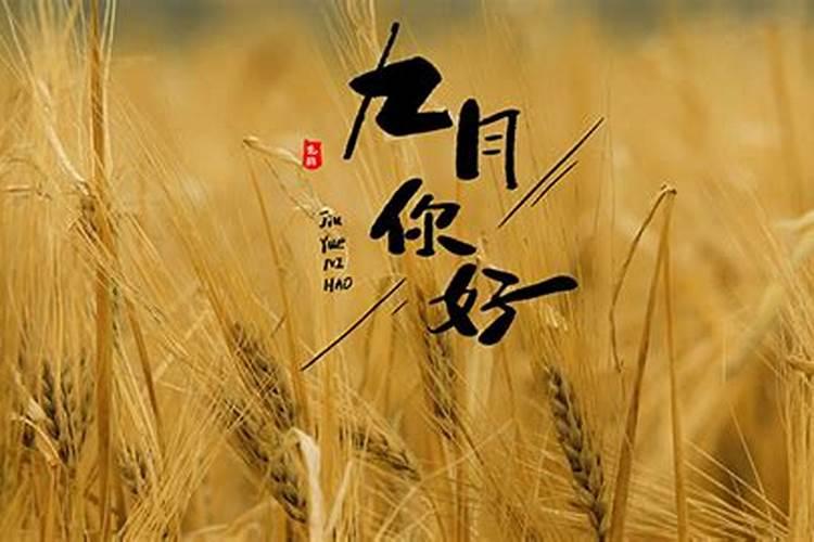 梦见老婆光着全身是什么意思