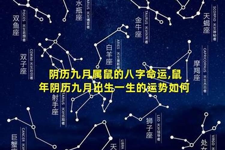 梦见自已老婆光身子的预兆