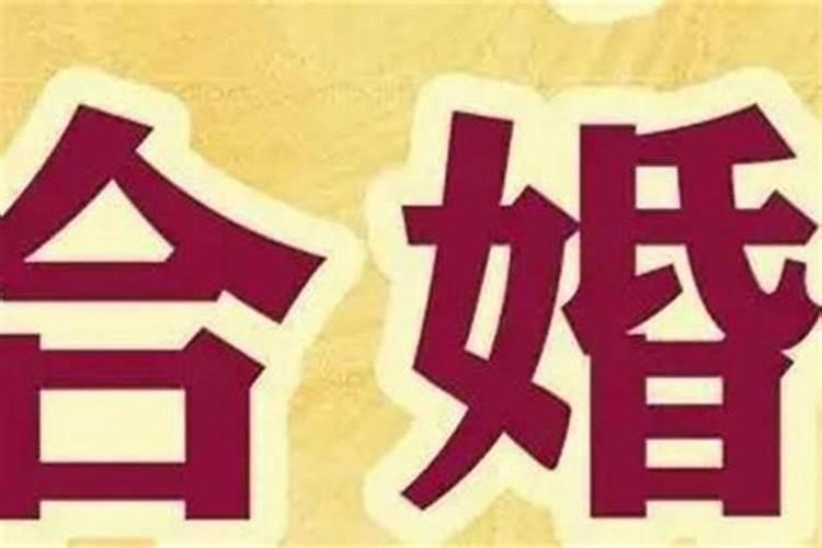 八字合婚 戊辰日柱和癸酉日柱结婚恩爱永恒