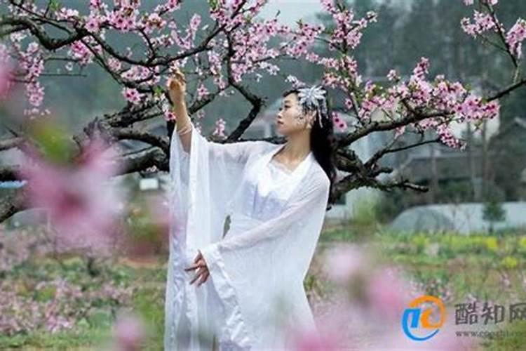 桃花运是什么意思 桃花运解释