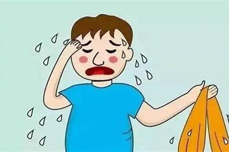 梦见白老虎追的预兆