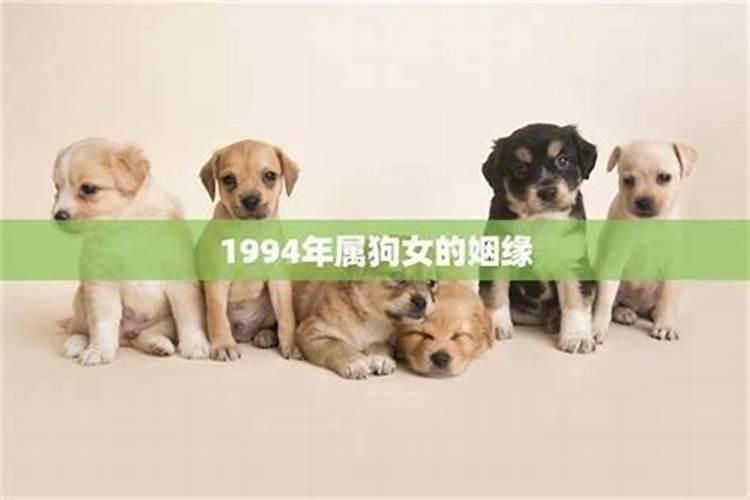 94年冬月初五出生女属狗一生运势