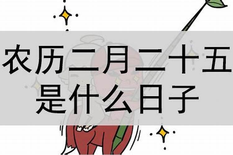 农历二月十五是什么日子