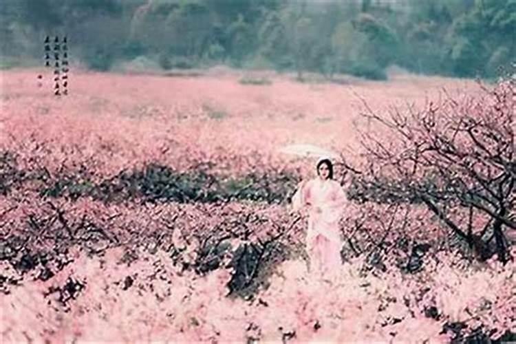 已婚女人走桃花运好不好？