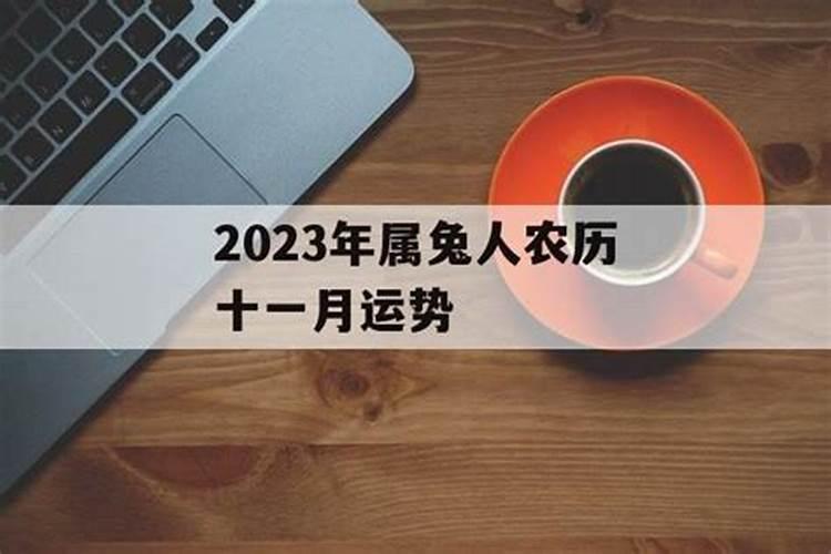 农历11月出生的属兔人命运