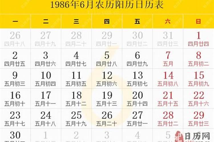 冬至十大养生食物