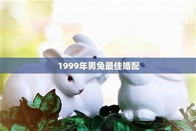 属兔女生和什么属相的男生最配