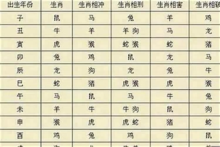 99年兔五行属什么命