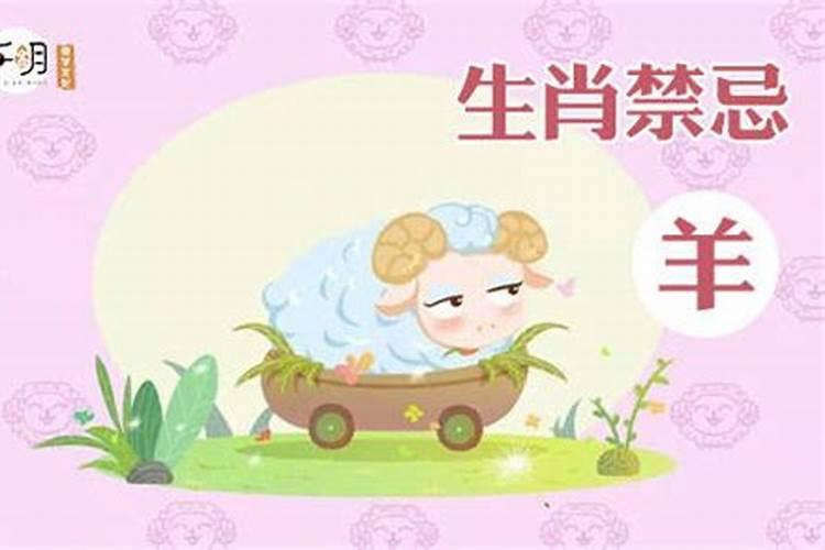 91年属羊的和93年属鸡的配吗？