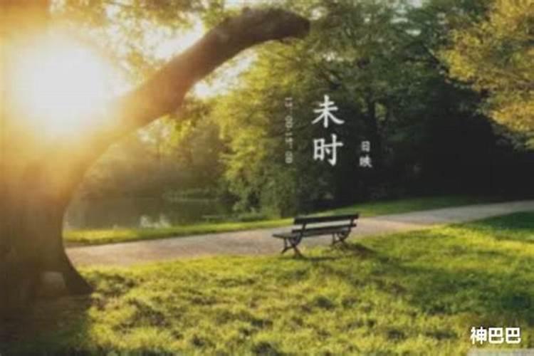 七月半出生的女孩特殊吗取什么名字合适